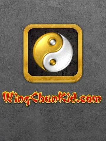 Kung Fu Wu Shu截图4