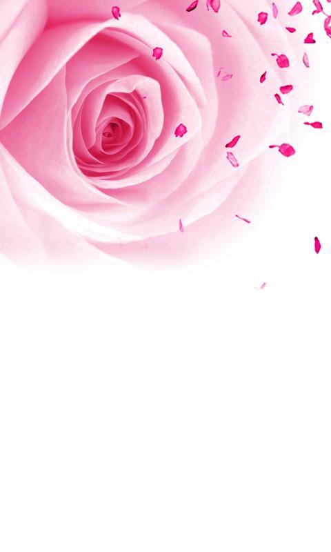 CUKI Theme Rose wallpape...截图4