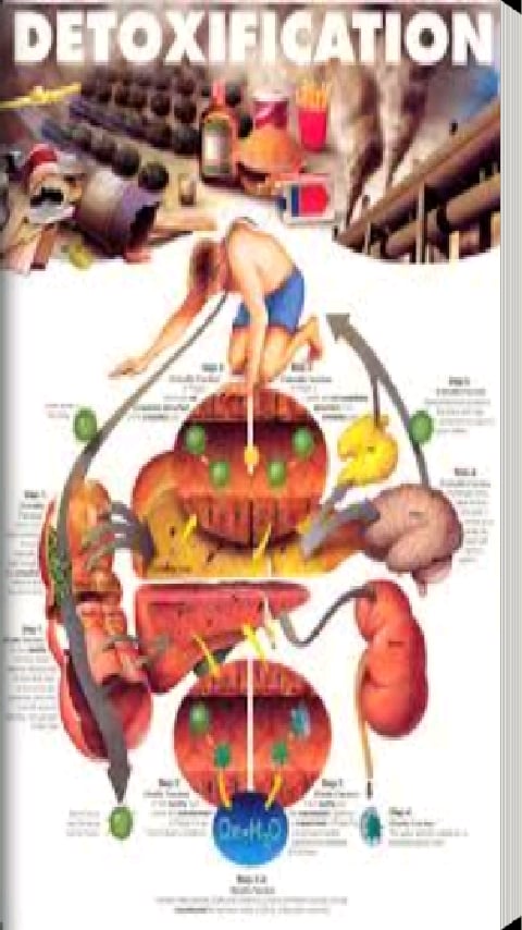 Body Detoxification截图1