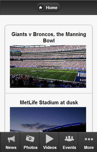 New York G. Football Fan截图8