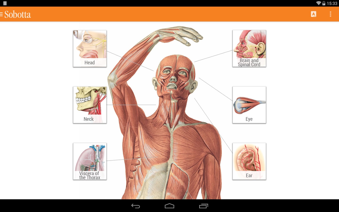 Sobotta Anatomy Atlas LI...截图5