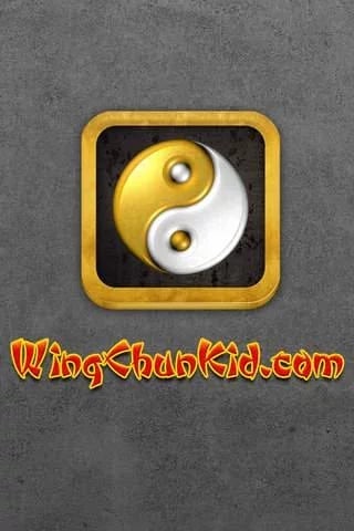 Kung Fu Wu Shu截图8