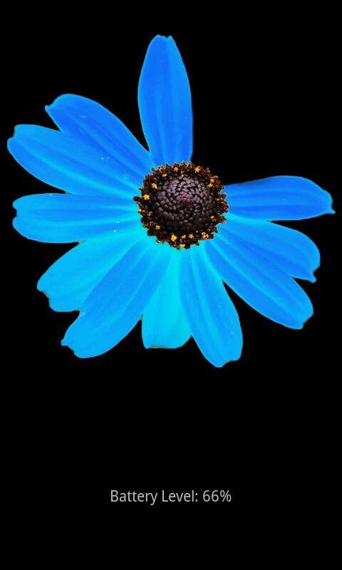 Battery Flower HD截图3