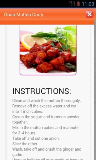 Indian Non Veg Recipes截图3