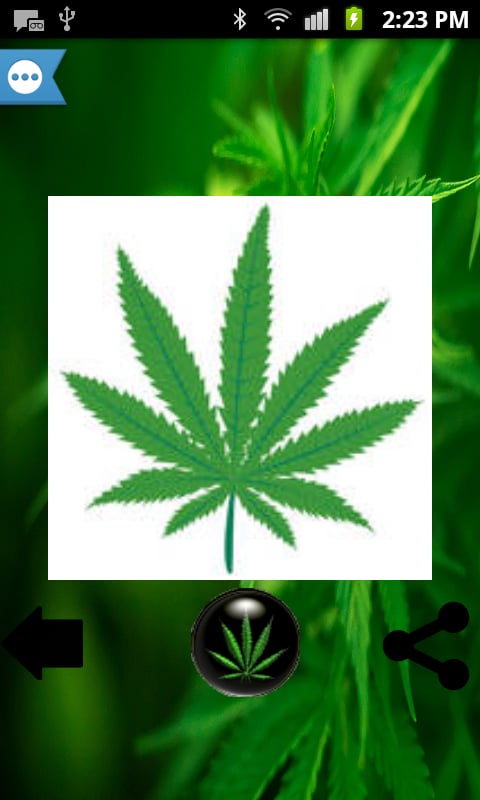 Weed Cam截图1