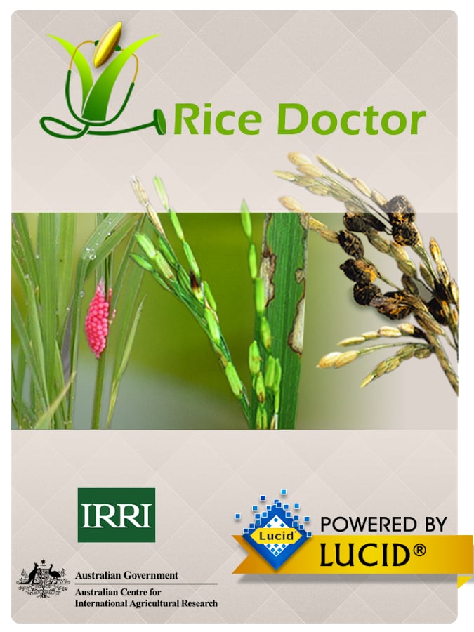 Rice Doctor截图3