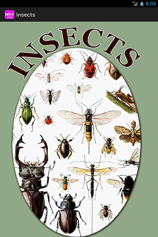 Insects截图2