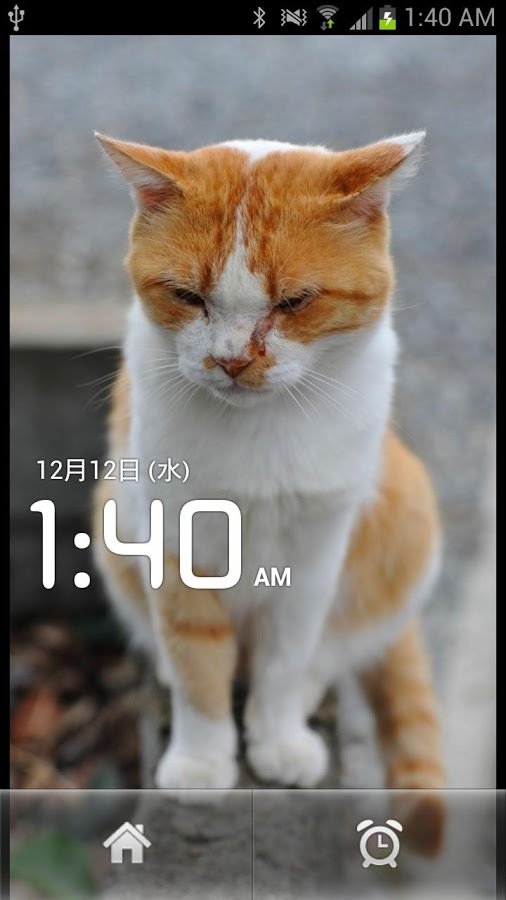 Cat Clock截图4