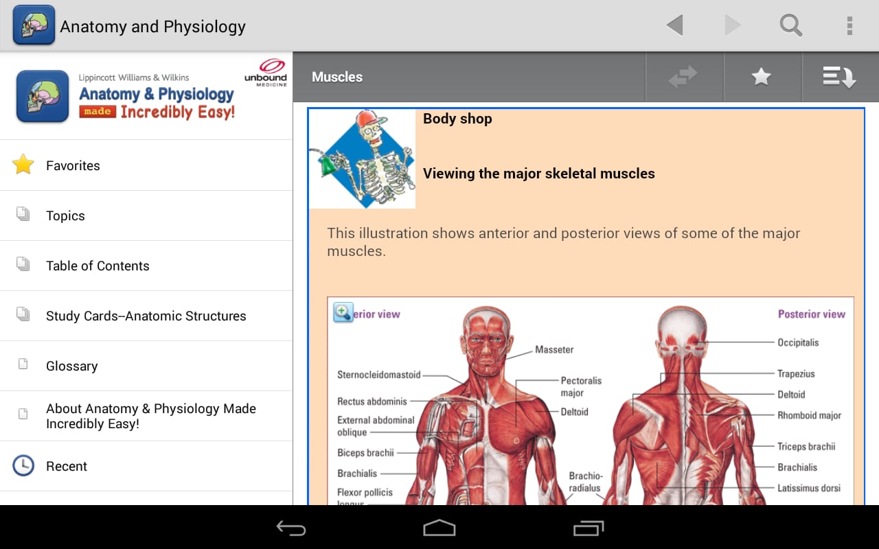 Anatomy &amp; Physiology Mad...截图10