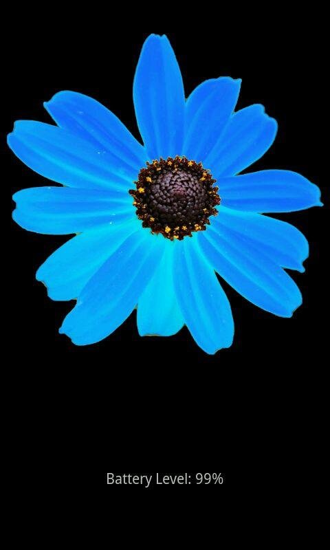 Battery Flower HD截图2