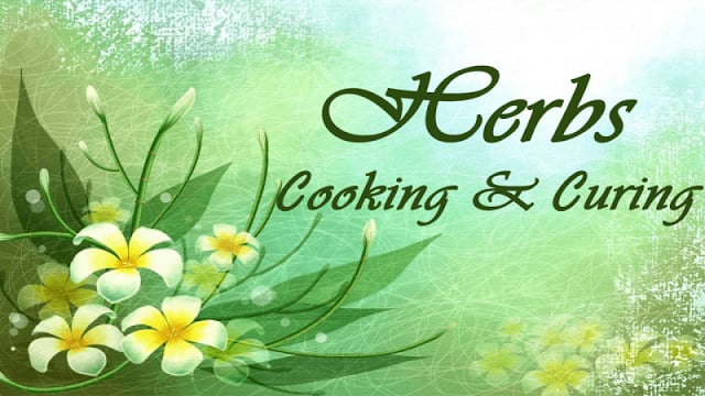 Herbs Cooking &amp; Curing截图2