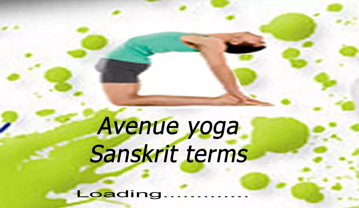 Yoga Asana Sanskrit Term...截图1