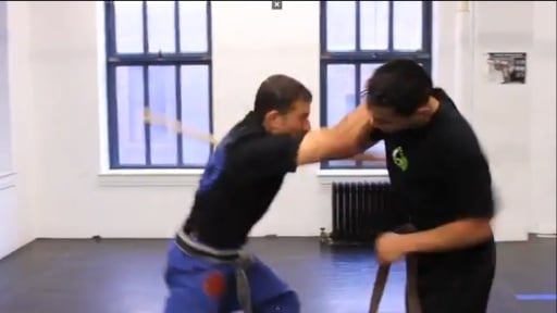 Krav Maga Training截图2