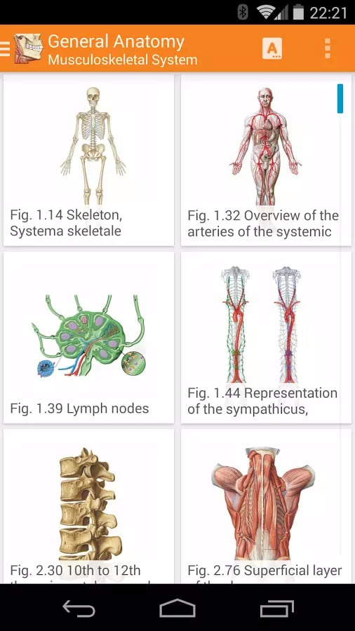 Sobotta Anatomy Atlas LI...截图3