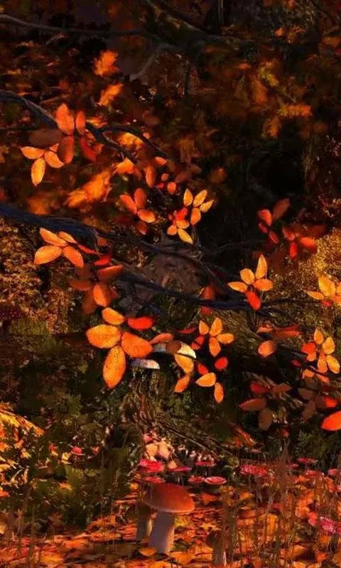 Autumn Wonderland LWP截图3