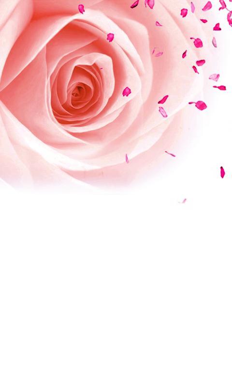 CUKI Theme Rose wallpape...截图3