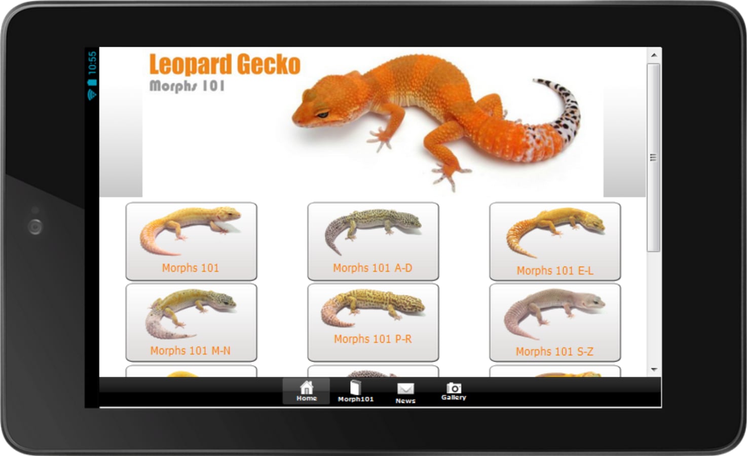 Leopard Gecko Morphs 101截图4