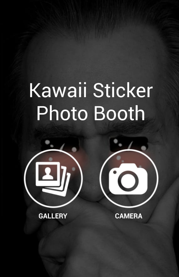 Kawaii Sticker Photo Boo...截图4