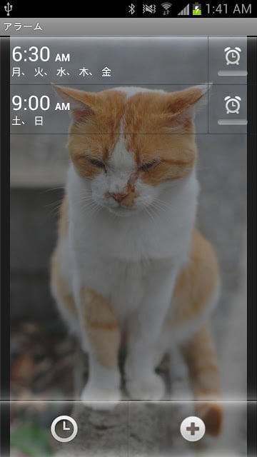 Cat Clock截图1