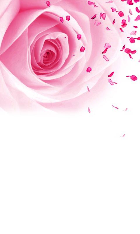 CUKI Theme Rose wallpape...截图1