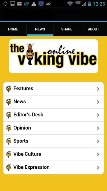 The Viking Vibe截图1