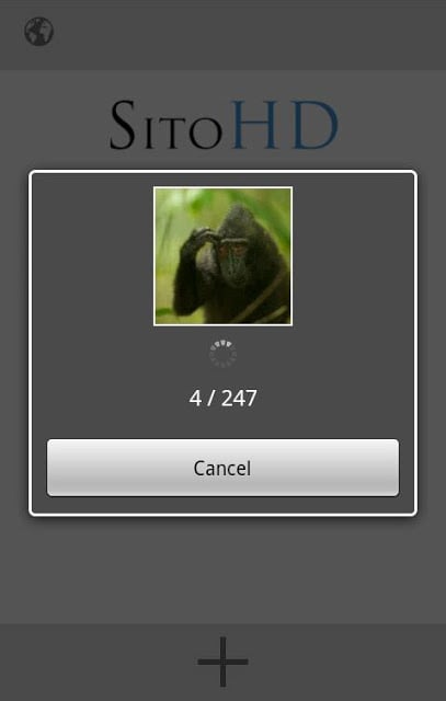 SitoHD - Your Photo website截图11