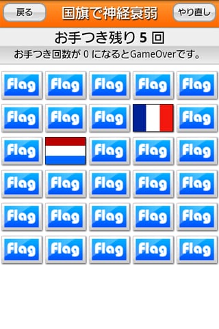 The Flag Quiz截图1