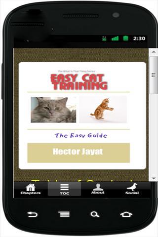 Easy Cat Training截图2