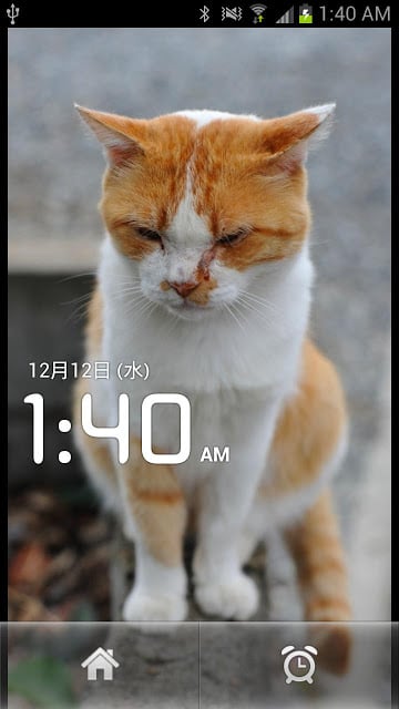 Cat Clock截图2