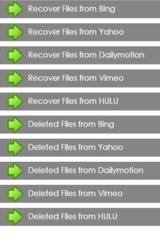 Recover Deleted Files Gu...截图2