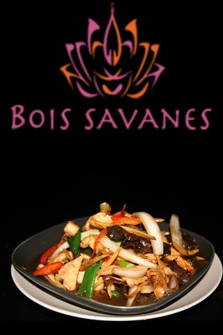 Bois Savanes截图2