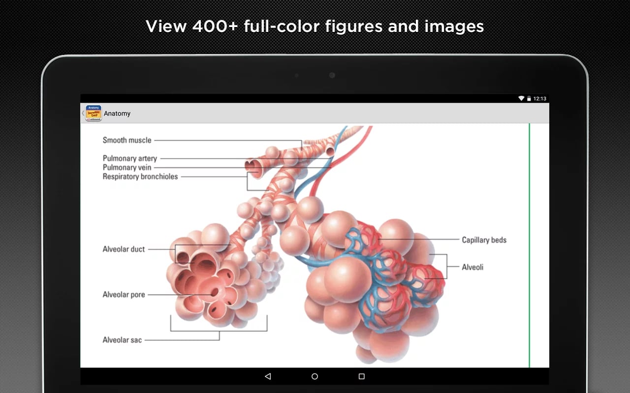 Anatomy &amp; Physiology Mad...截图1