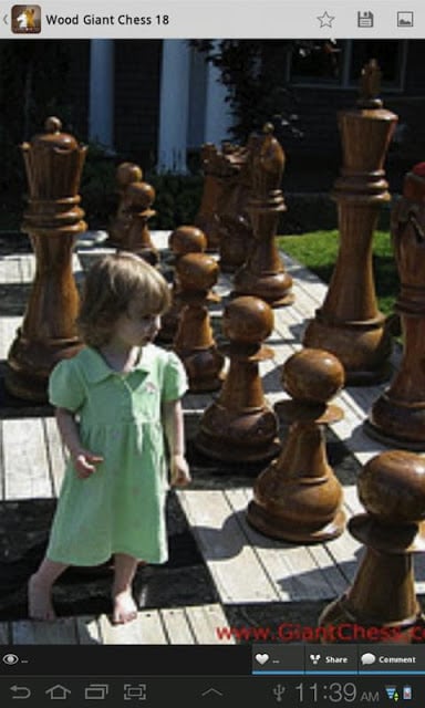 Giant Chess截图4