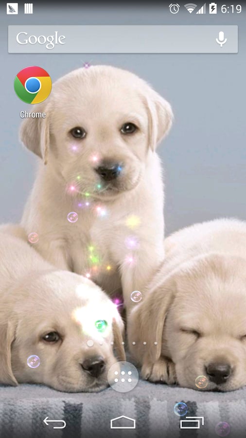 Dream dog lwp截图3