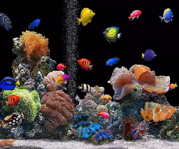 3D Underwater World截图2