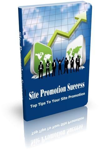 Site Promotion Success G...截图2