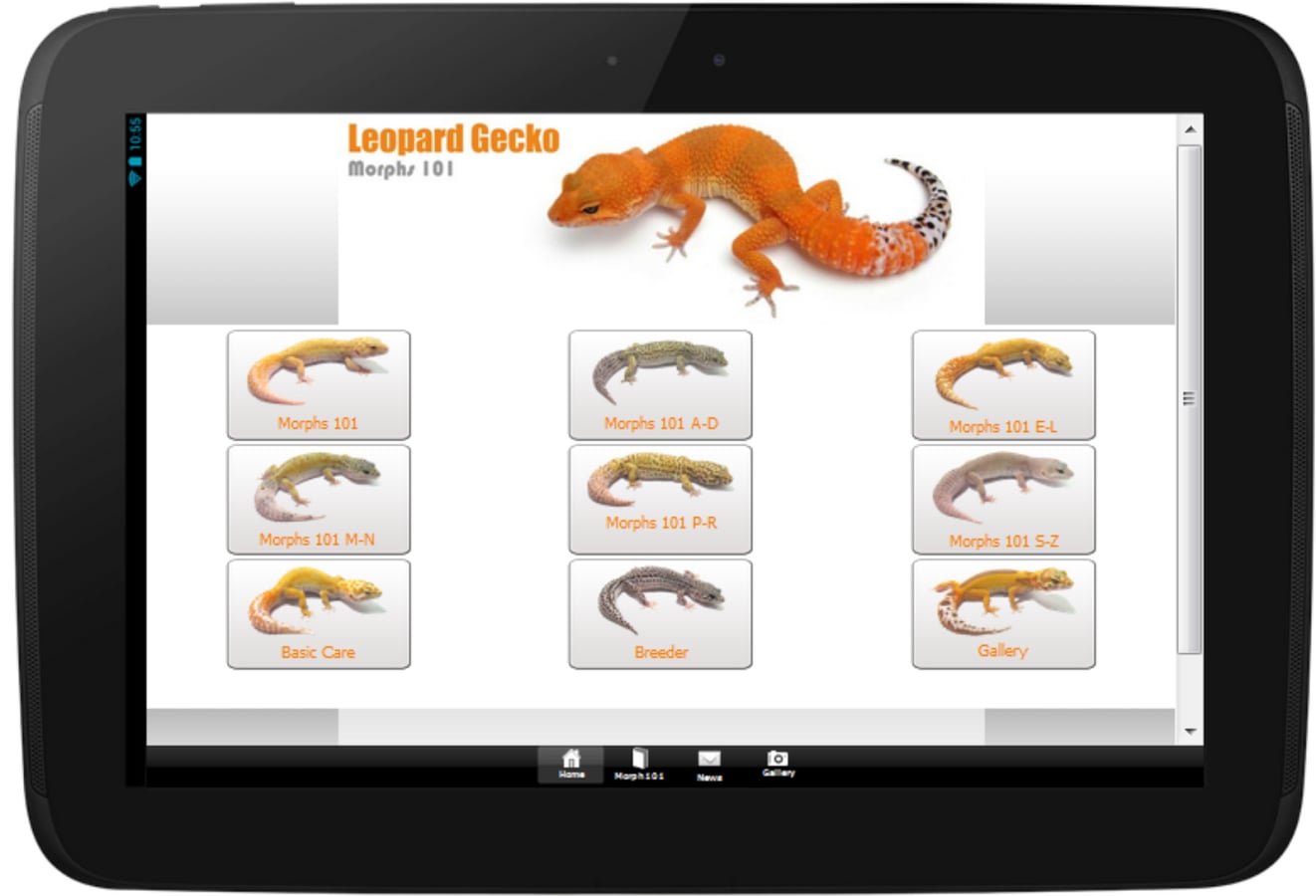 Leopard Gecko Morphs 101截图5