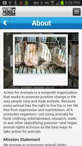 Action For Animals截图2