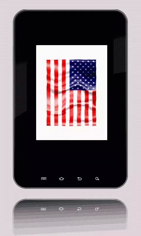 Flag USA截图3