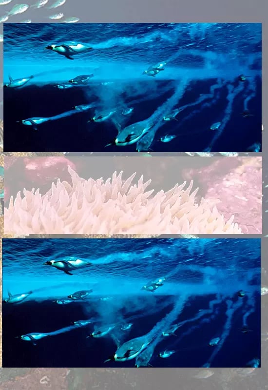 Find Diff Underwater World截图3