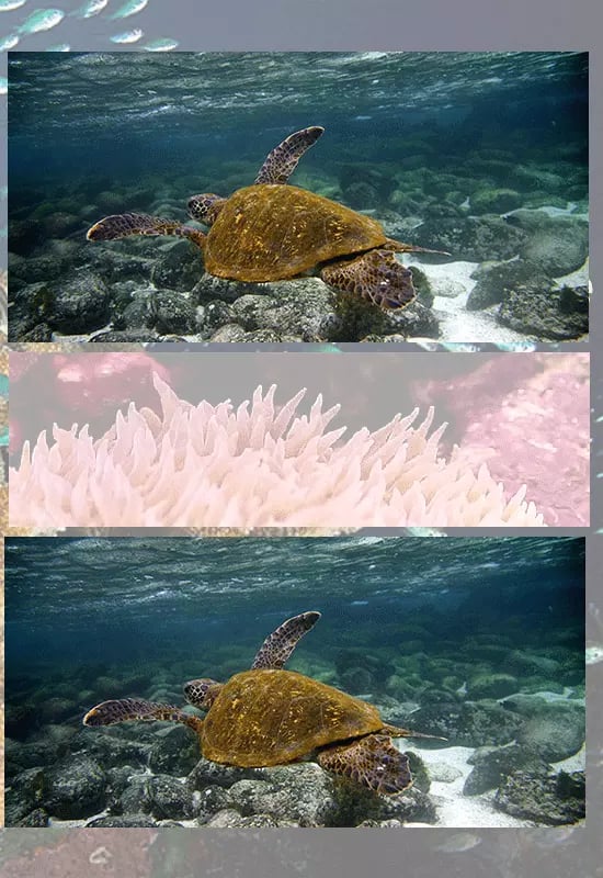 Find Diff Underwater World截图2