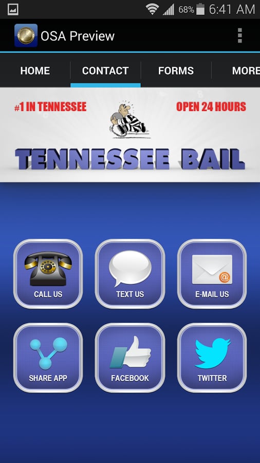 Tennessee Bail截图1