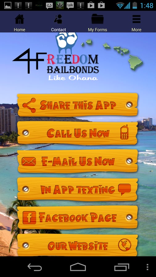 Hawaii Bail截图2