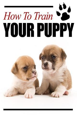 Train Your Puppy截图1