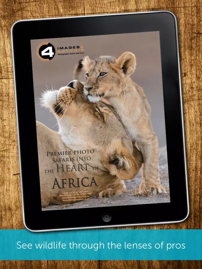 Into Africa Magazine截图5