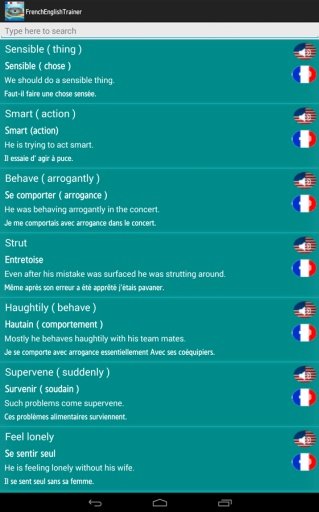 French - English Verb Trainer截图5