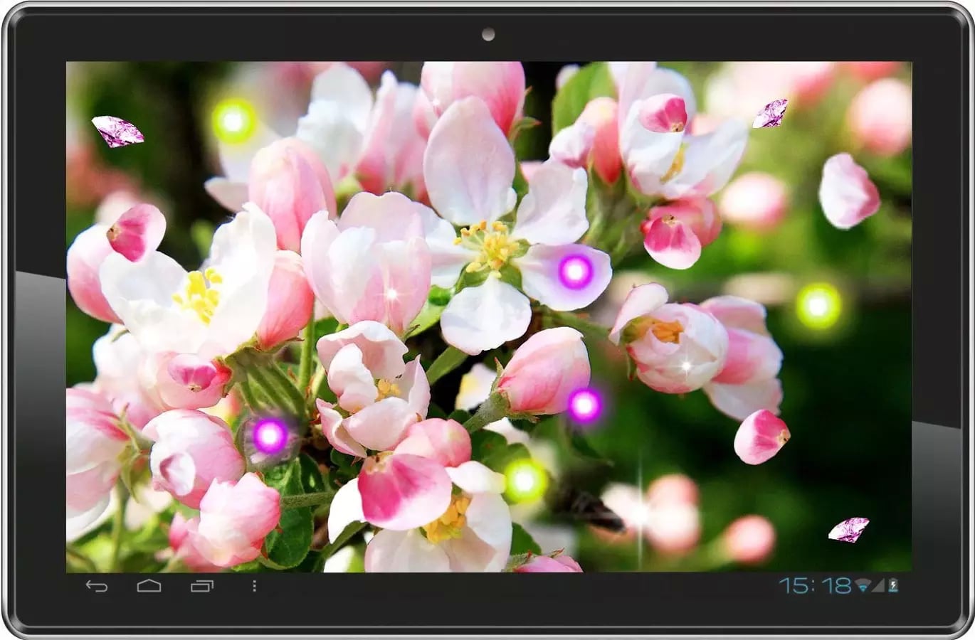 Apple Blossom Nice HD LW...截图3