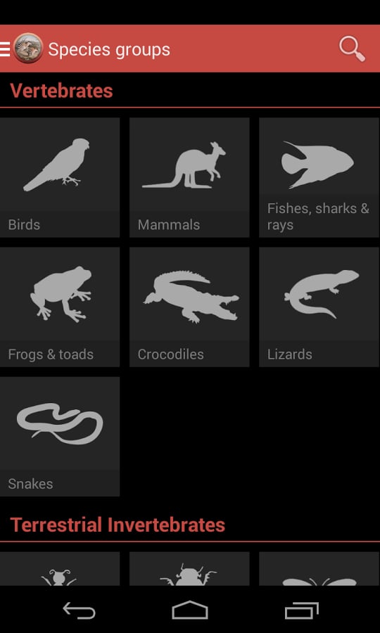 Field Guide to WA Fauna截图1