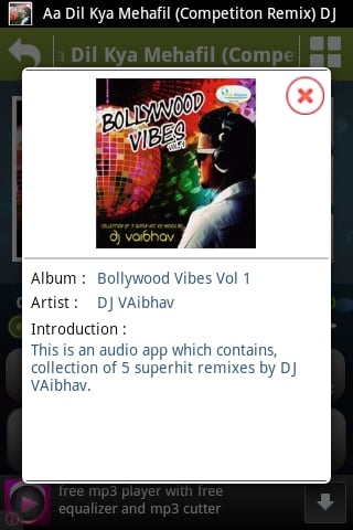 Bollywood Vibes Vol 1截图4