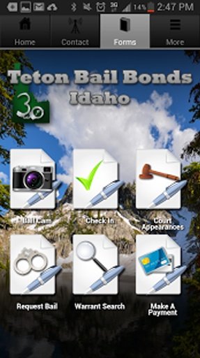 Idaho Bail截图1